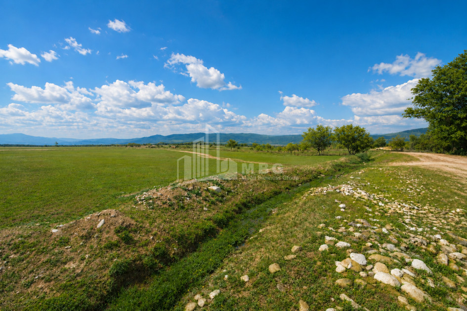 For Sale Vineyard - Chateau Land In Manavi, Sagarejo