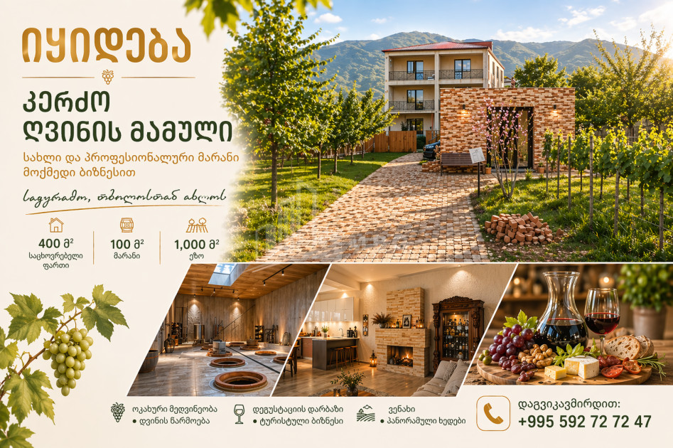 იყიდება შატო / ღვინის ქარხანა / მარანი კომერციული ფართი საგურამოში, მცხეთა