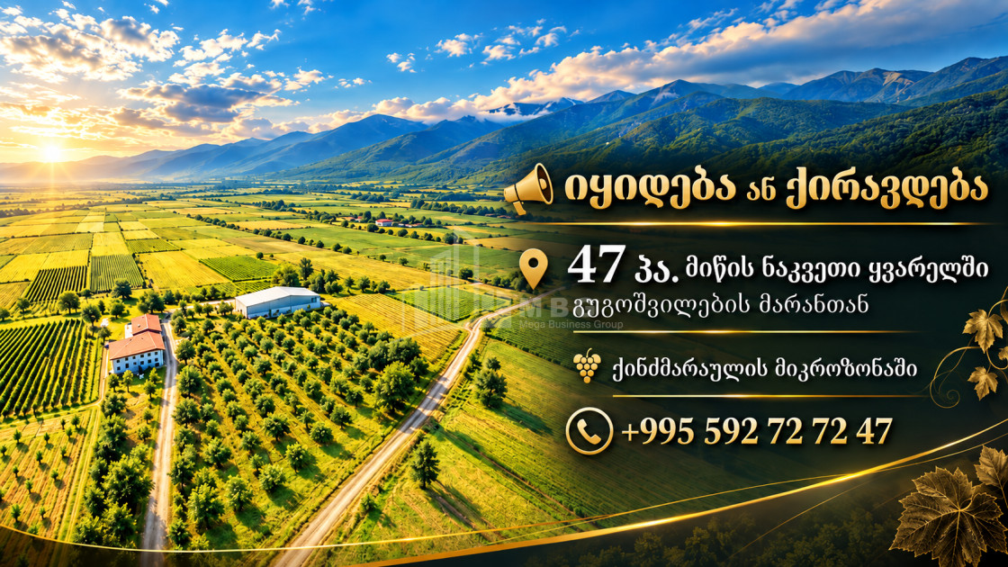 For Sale Vineyard - Chateau Land In Kvareli