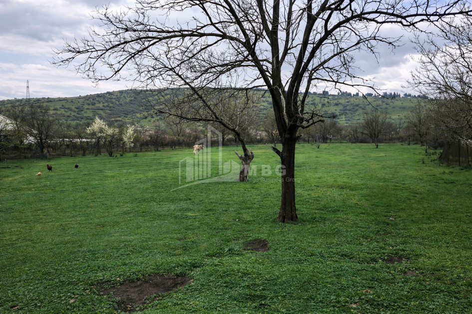 For Sale Old building House - Villa In Dzalisi, Mtskheta