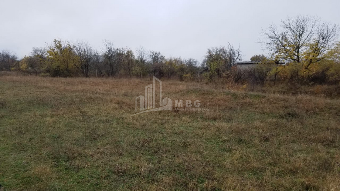 For Sale Country Land, in Tsinamdzgvriantkari