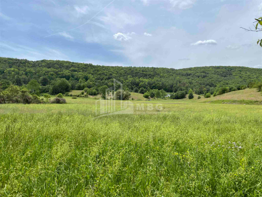 For Sale Land, Dusheti Municipality, Municipalities of Mtskheta   Mtianeti