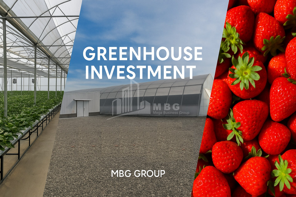 For Sale Land Marneuli Kvemo Kartli