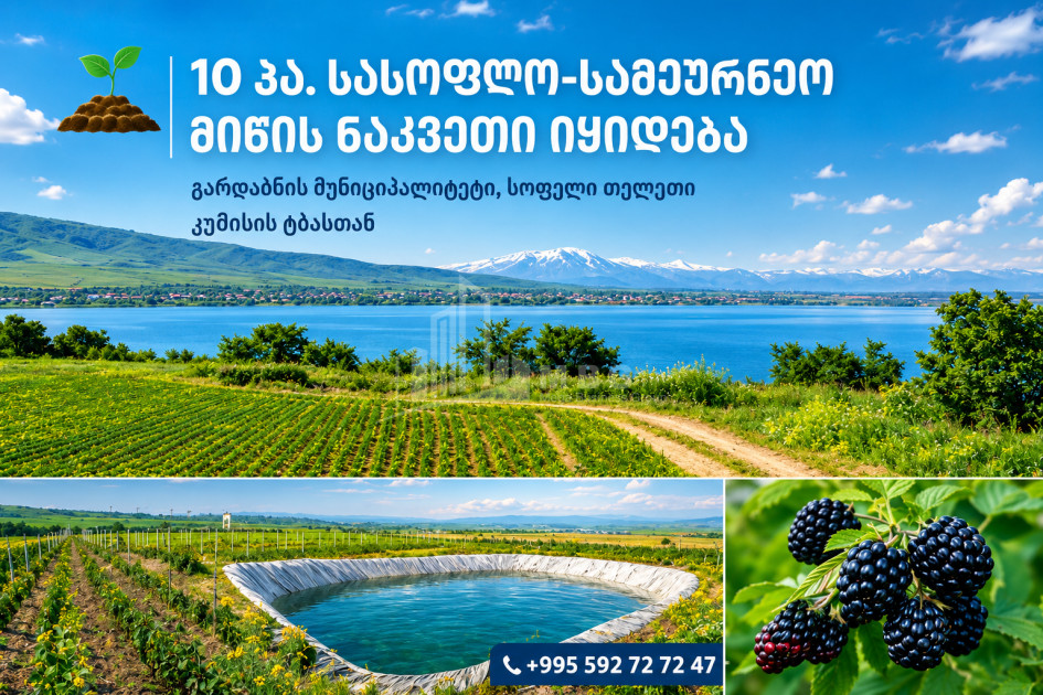 For Sale Orchards Land In Kumisi, Gardabani
