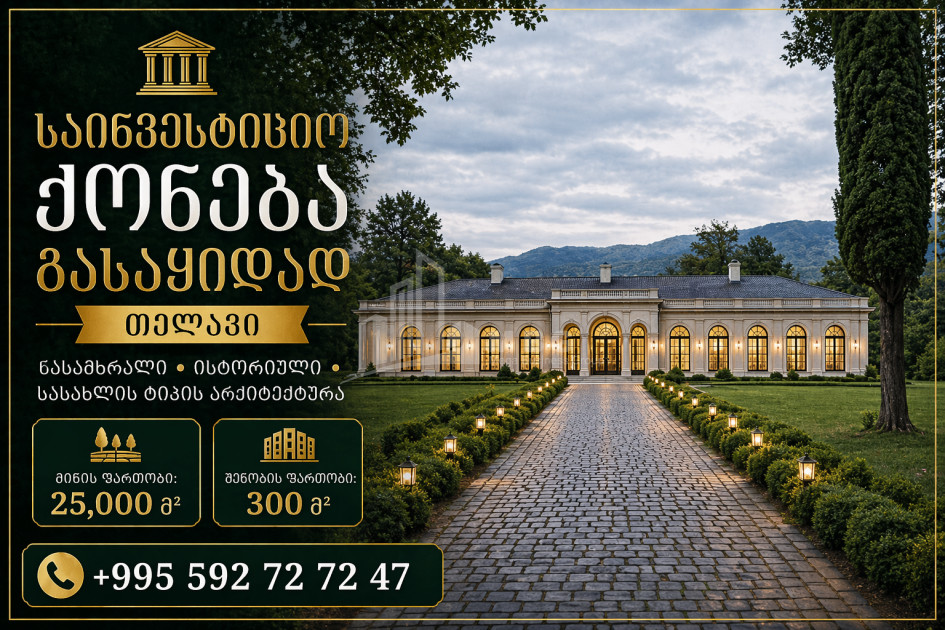 იყიდება შატო / ღვინის ქარხანა / მარანი კომერციული ფართი თელავში