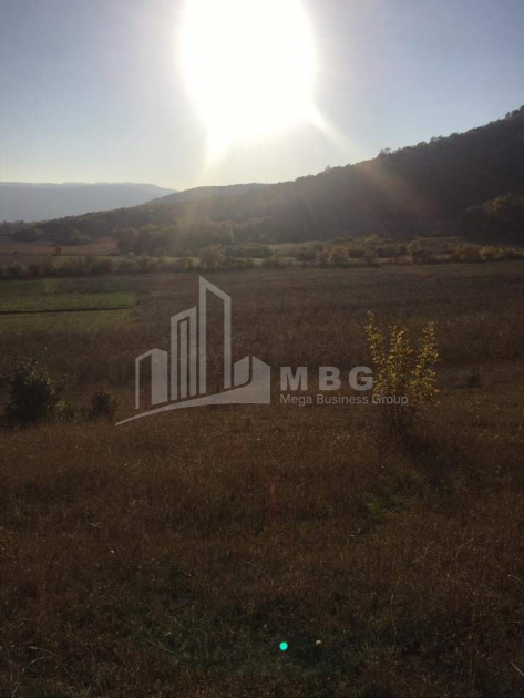 For Sale Vineyard - Chateau Land, in Matani