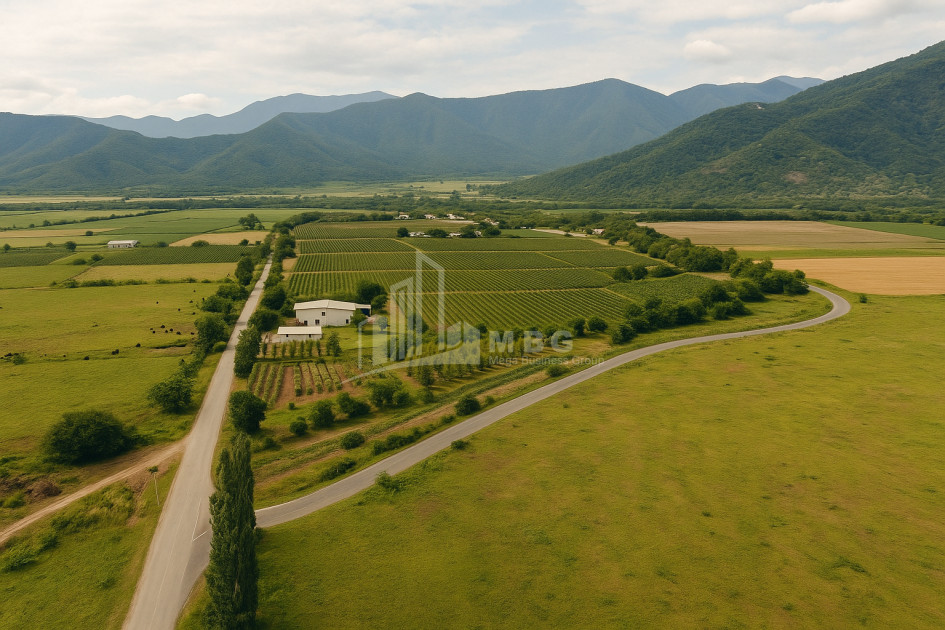 For Sale Land Kvareli Kakheti