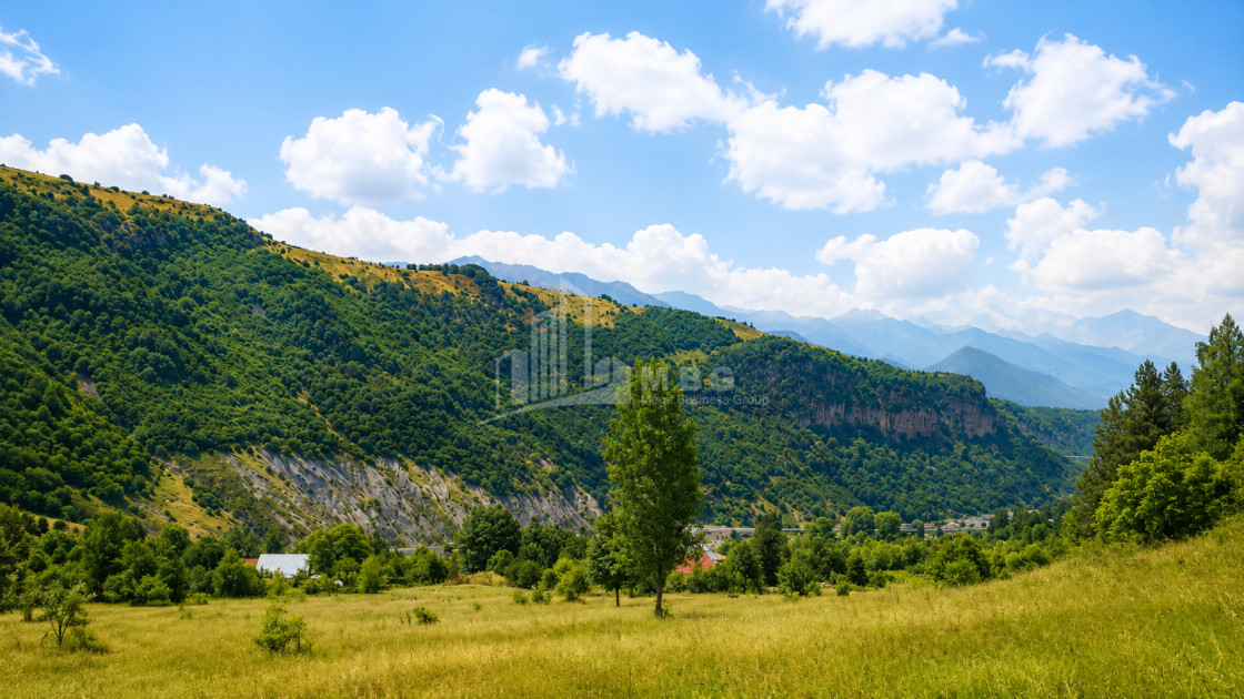 იყიდება სამოსახლო მიწის ნაკვეთი სოფელ მლეთაში, დუშეთი