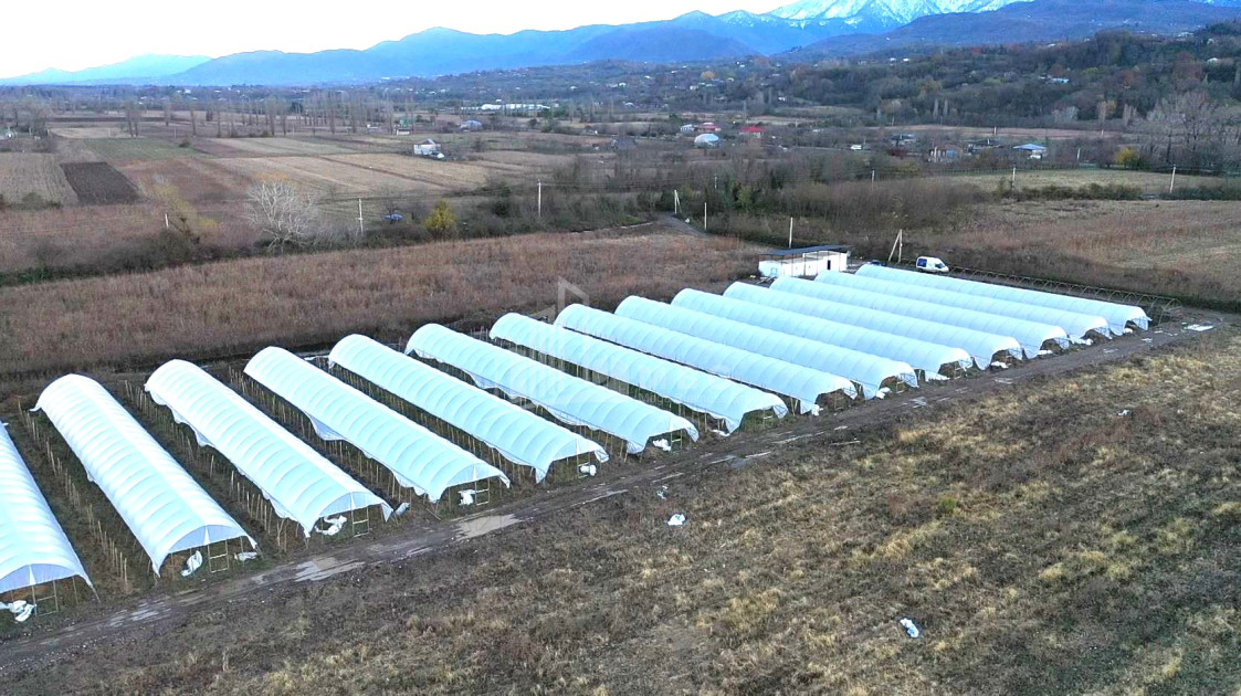 For Sale Land Vani Imereti