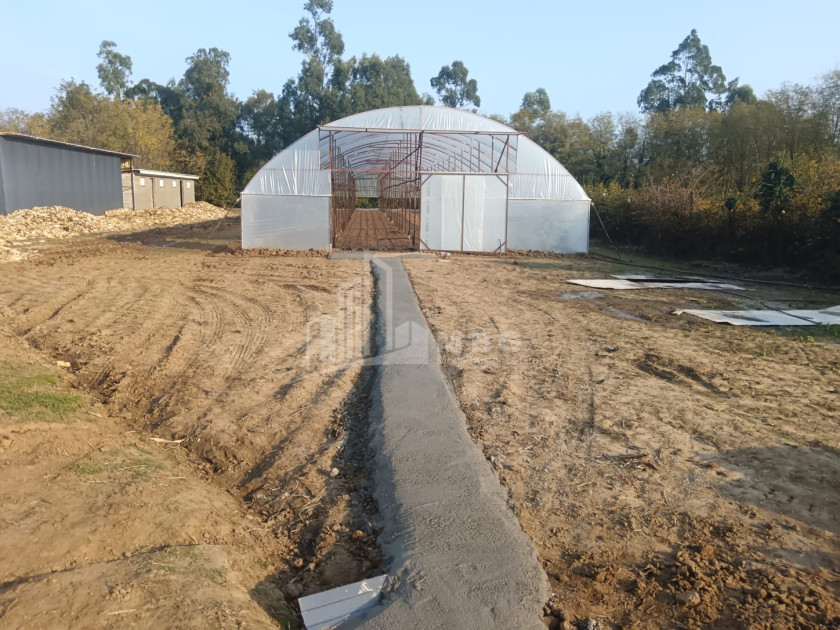 For Sale Land, Nosiri, Senaki, Samegrelo