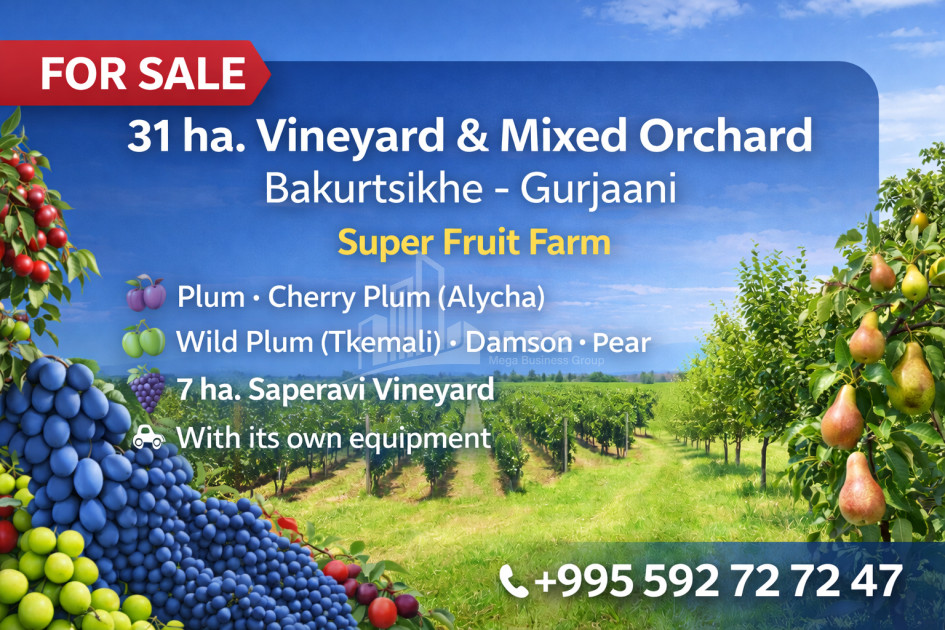 იყიდება ხეხილის ბაღი მიწის ნაკვეთი, ბაკურციხე