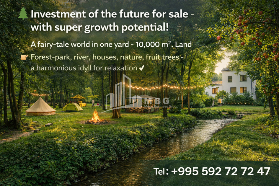 Business/Investment for Sale Leisure _ Entertainment complex Commercial In Telavi