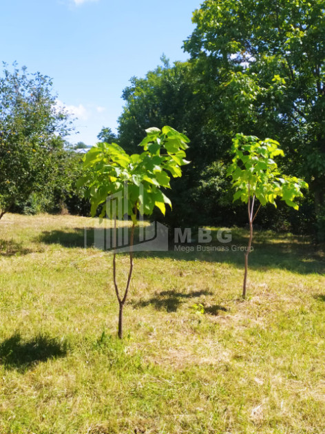 For Sale House Villa fence Mtskheta Mtskheta   Mtianeti