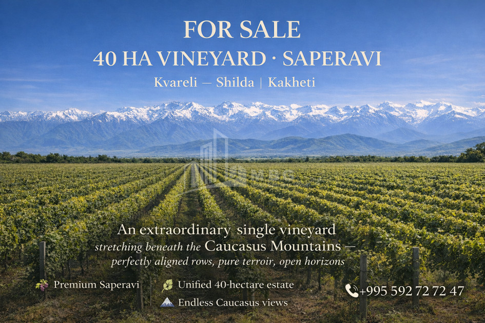 For-Sale-Land-Shilda-Kvareli-Kakheti