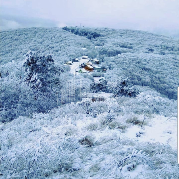 Продается Дом - Вилла В Коджори, Мтацминда Район