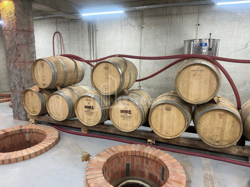 Продается Коммерческий Охио Ахмета Кахети