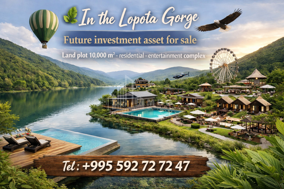 იყიდება ბიზნესი კომერციული ფართი თელავი კახეთი