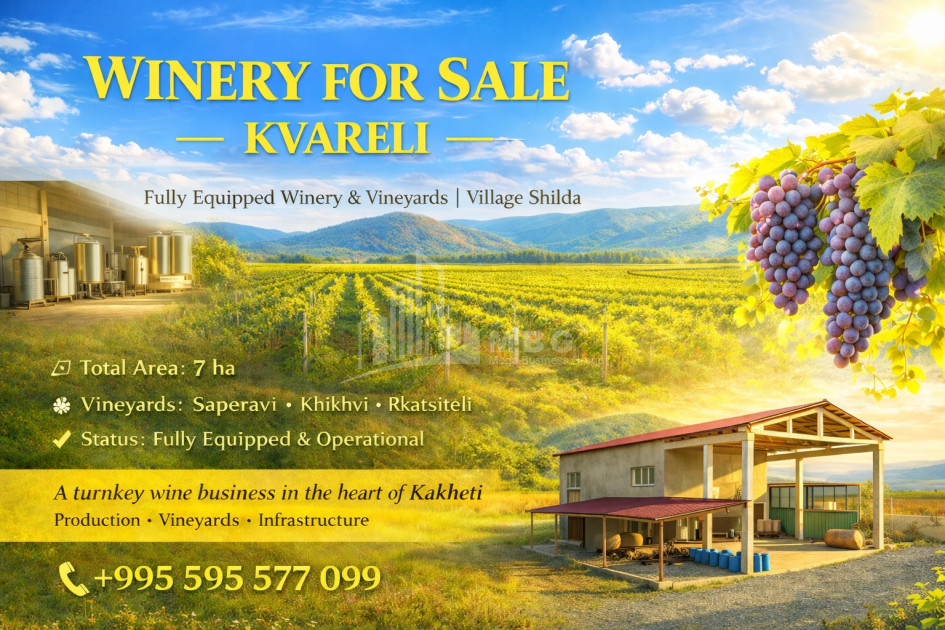For Sale Chateau / Wine factory Commercial In Shilda, Kvareli