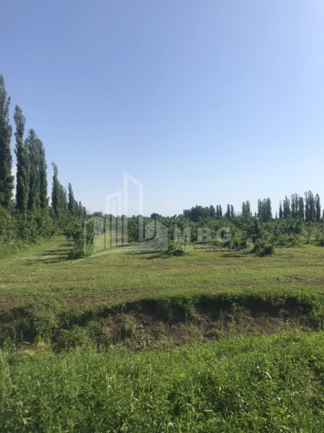 Продается Фруктовые сад Земля, в Сенакски