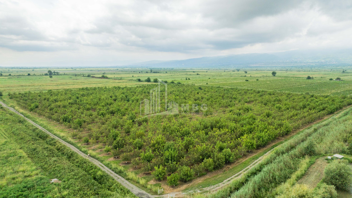 For Sale Land Kakheti