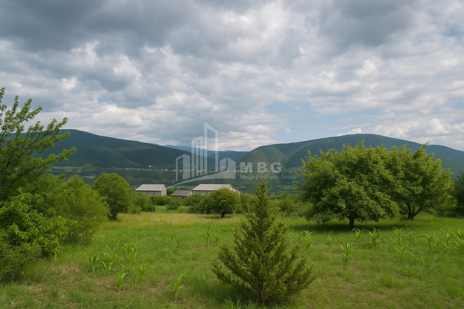 Продается Земля Ламискана Каспси Шида Картли