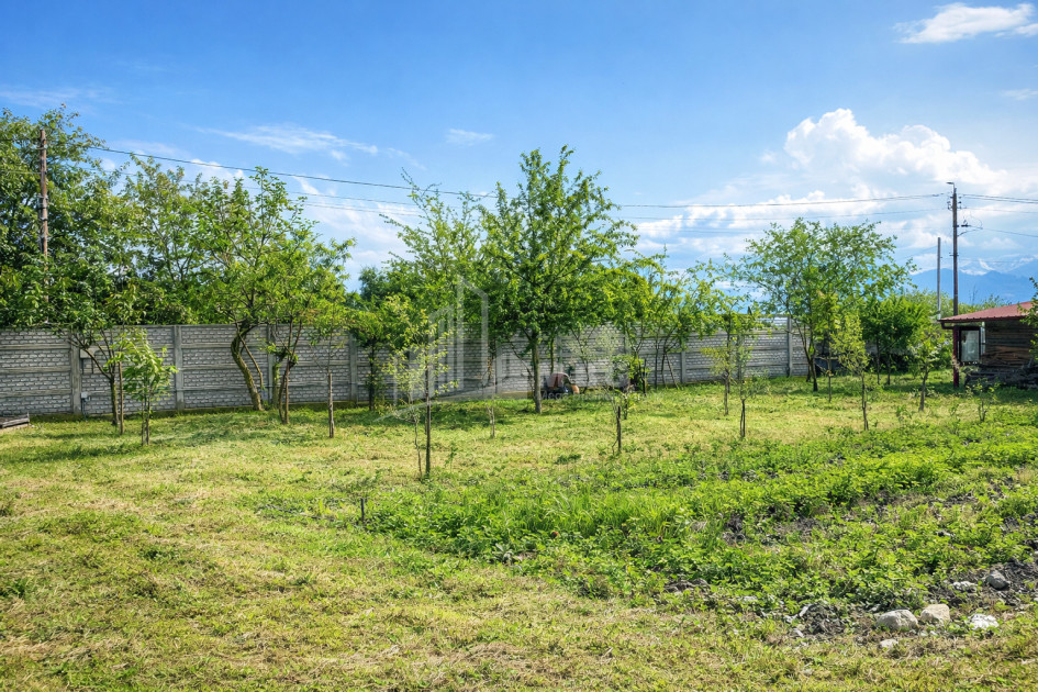 Business for sale Commercial Telavi Kakheti