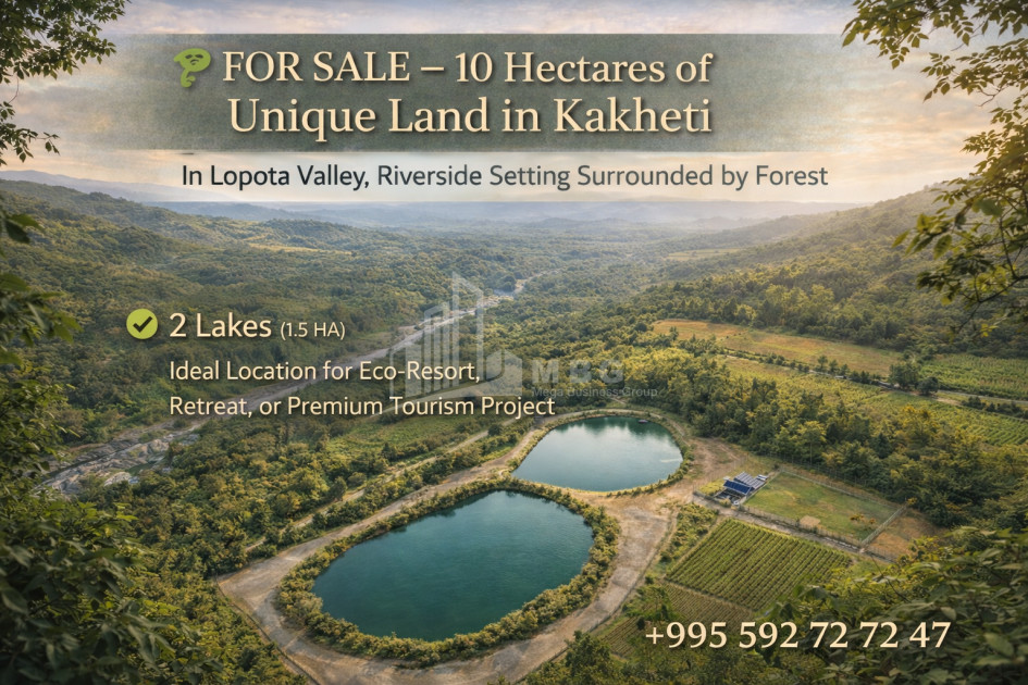 იყიდება მიწის ნაკვეთი თელავი კახეთი