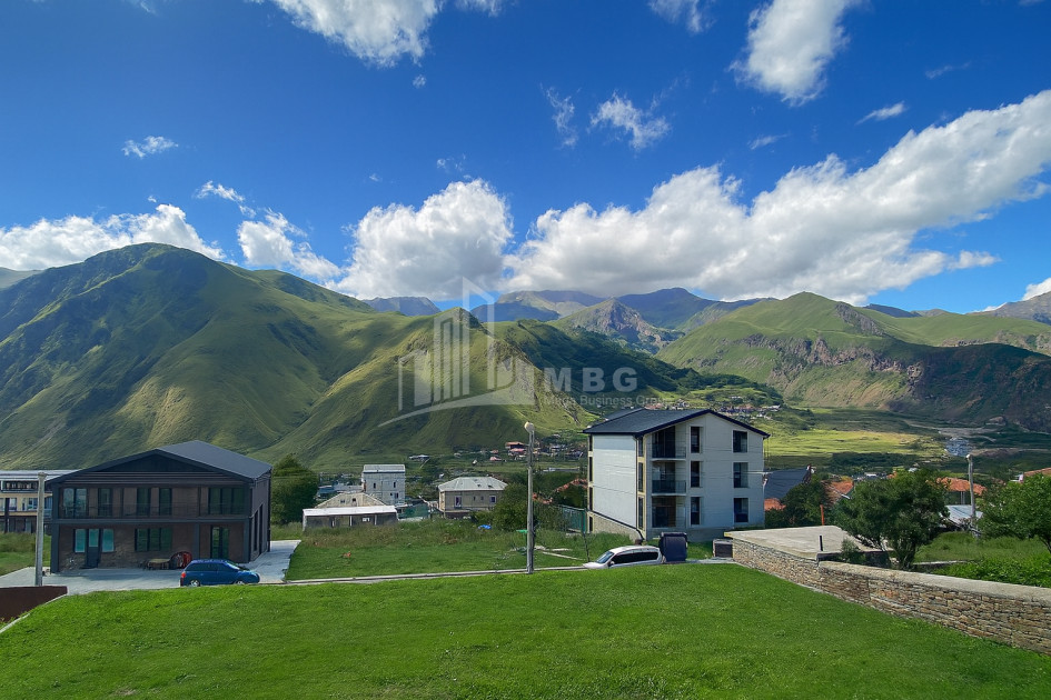 For Sale House Villa Stepantsminda Kazbegi Mtskheta   Mtianeti