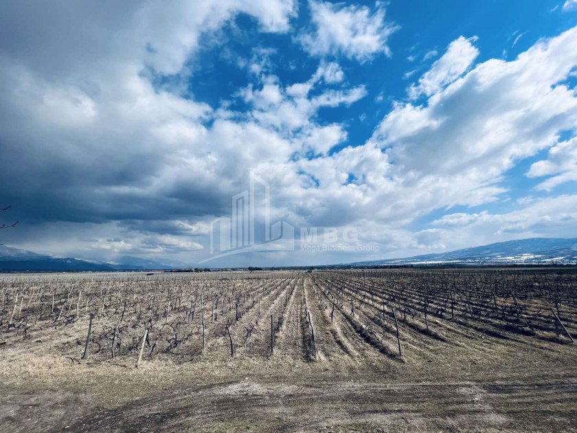 For Sale Land, Akhmeta City, Akhmeta Municipality, Municipalities of Kakheti