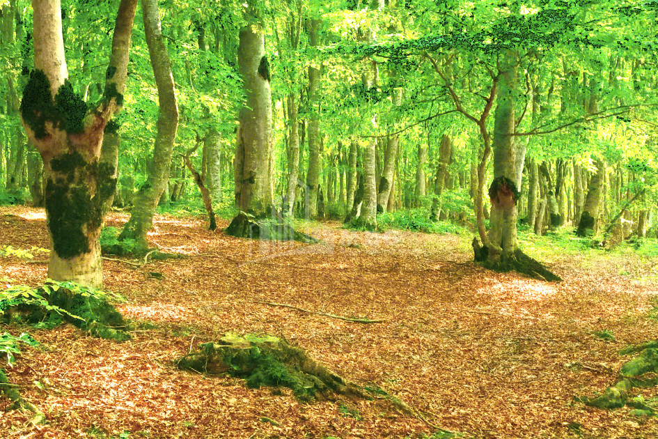 For Sale House Villa Tskhvarichamia Mtskheta Mtskheta   Mtianeti