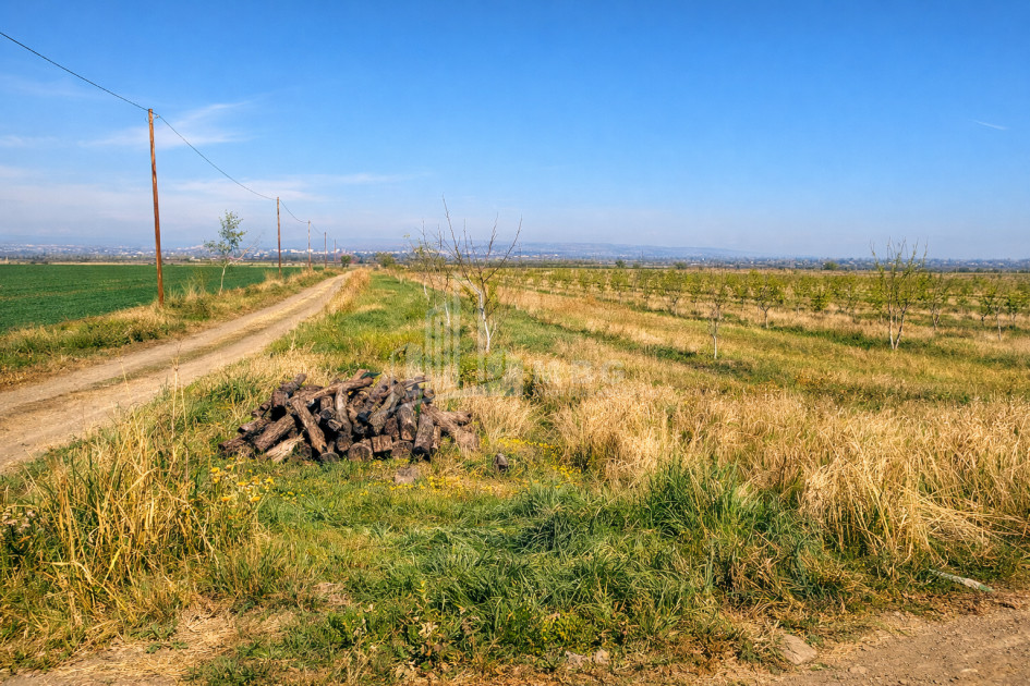 For Sale Land Village Shaumiani Marneuli Kvemo Kartli