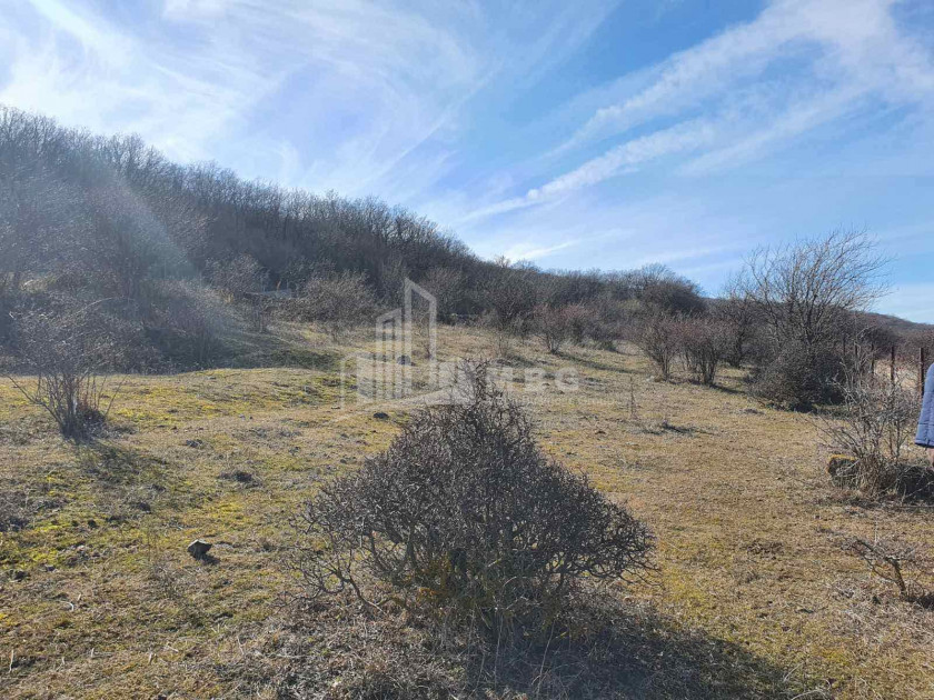 For Sale Country Land, in Tserovani