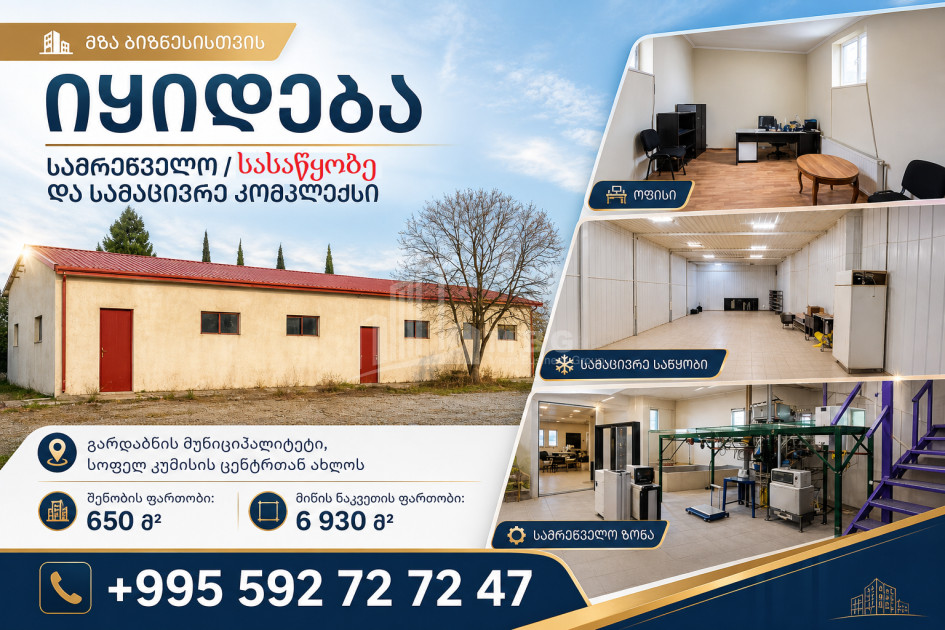 Продается Здание Коммерческий В Кумиси, Гардабани