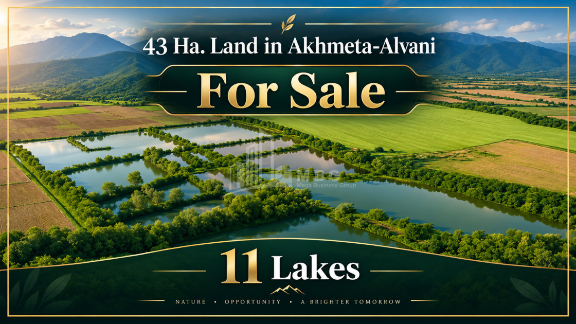 For Sale Lake - Fishing farm Land In Kvemo Alvani, Akhmeta