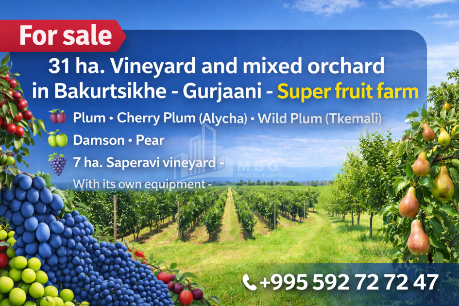 იყიდება ხეხილის ბაღი მიწის ნაკვეთი, ბაკურციხე