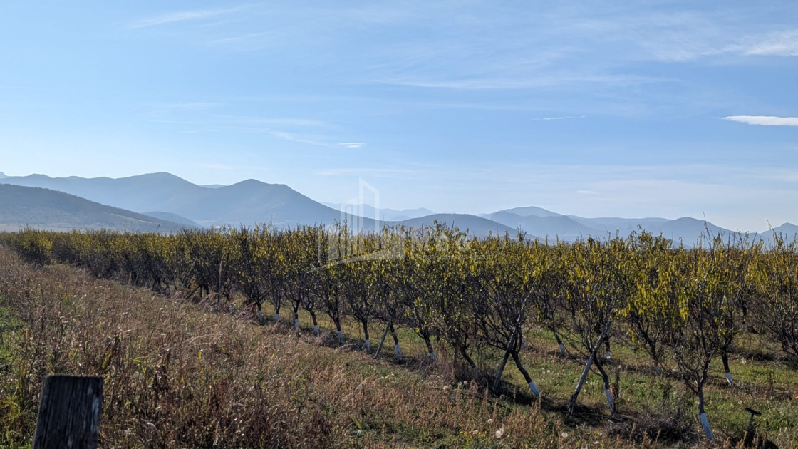 იყიდება მიწის ნაკვეთი სოფელი შაუმიანი მარნეული ქვემო ქართლი