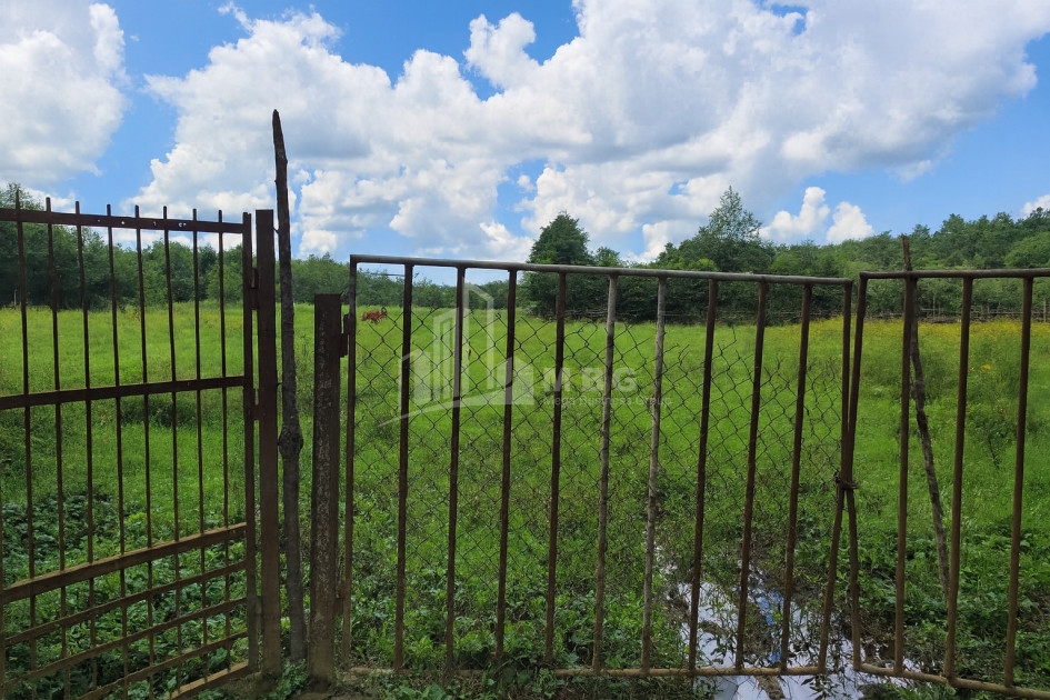 For Sale Land Chibati village Lanchkhuti Municipalities of Guria