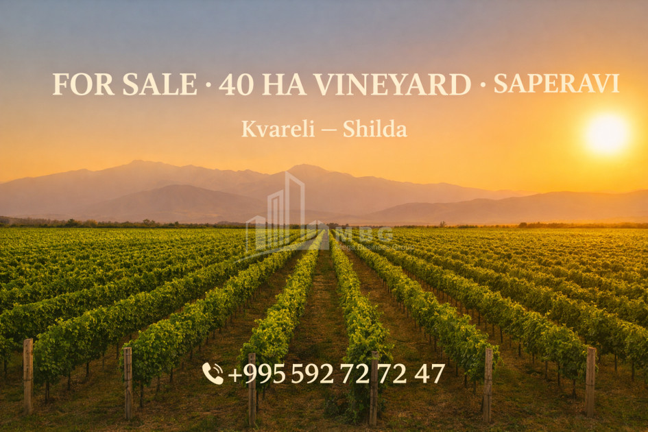 For-Sale-Land-Shilda-Kvareli-Kakheti