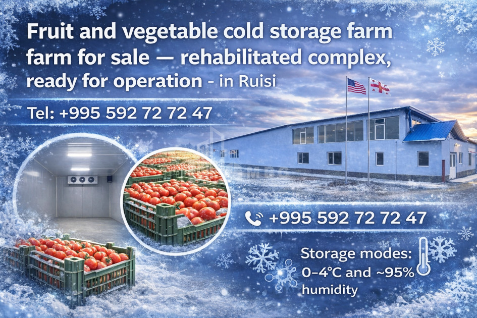 For Sale Refrigerator-freezer area Commercial In Ruisi, Kareli