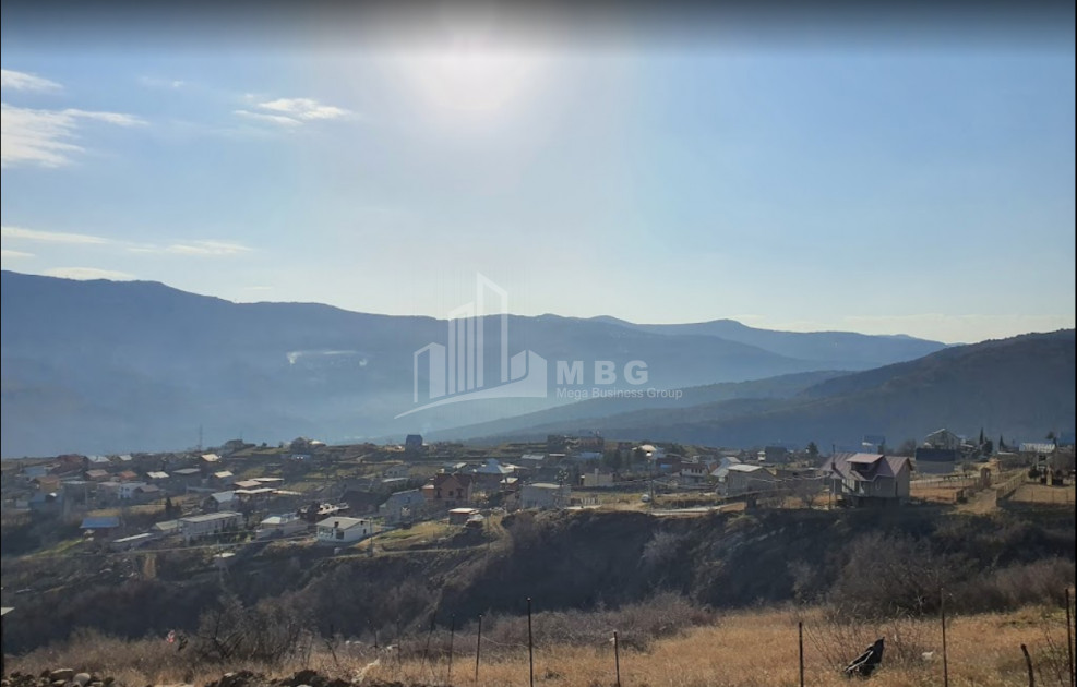 For Sale Country Land, in Napetvrebi