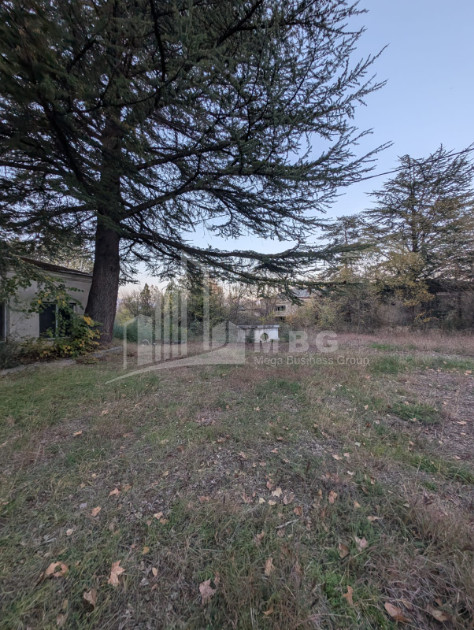 For Sale Commercial Akhmeta Kakheti