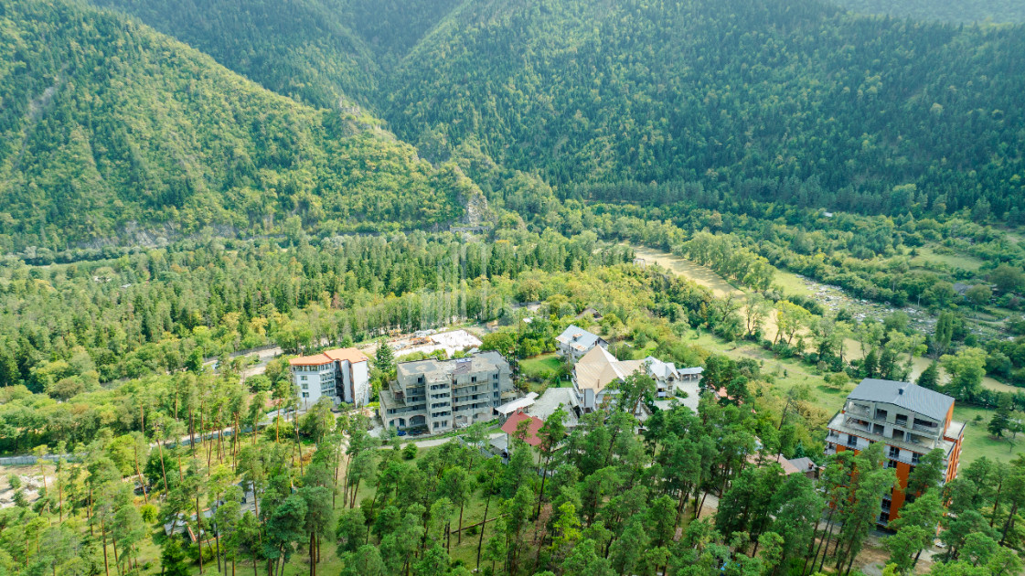 For Sale Commercial Likani Borjomi Samtskhe   Javakheti