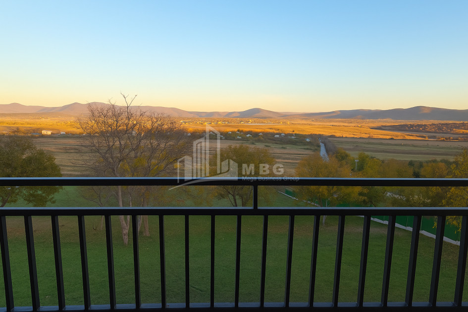 For Sale Commercial Bazaleti Dusheti Mtskheta   Mtianeti