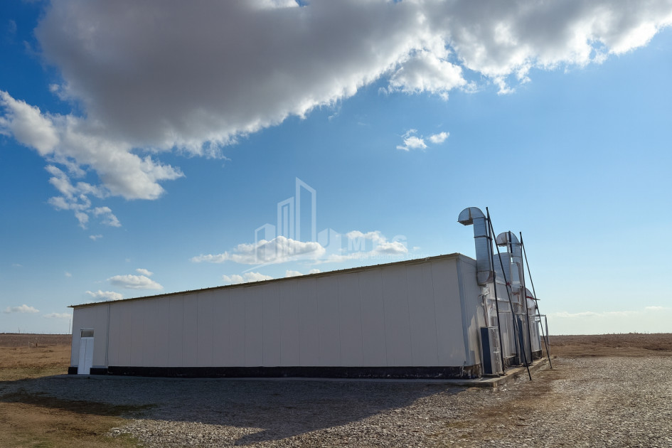 For Sale Commercial Okami Kaspi Shida Kartli