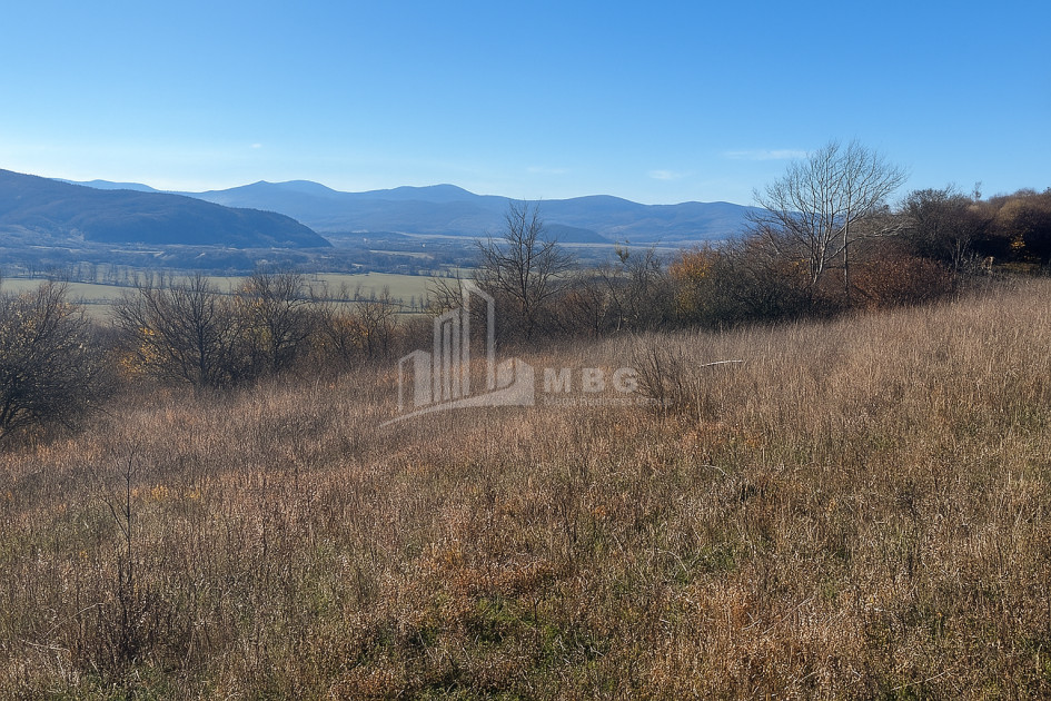 იყიდება მიწის ნაკვეთი ახალსოფელი თიანეთი მცხეთა   მთიანეთი