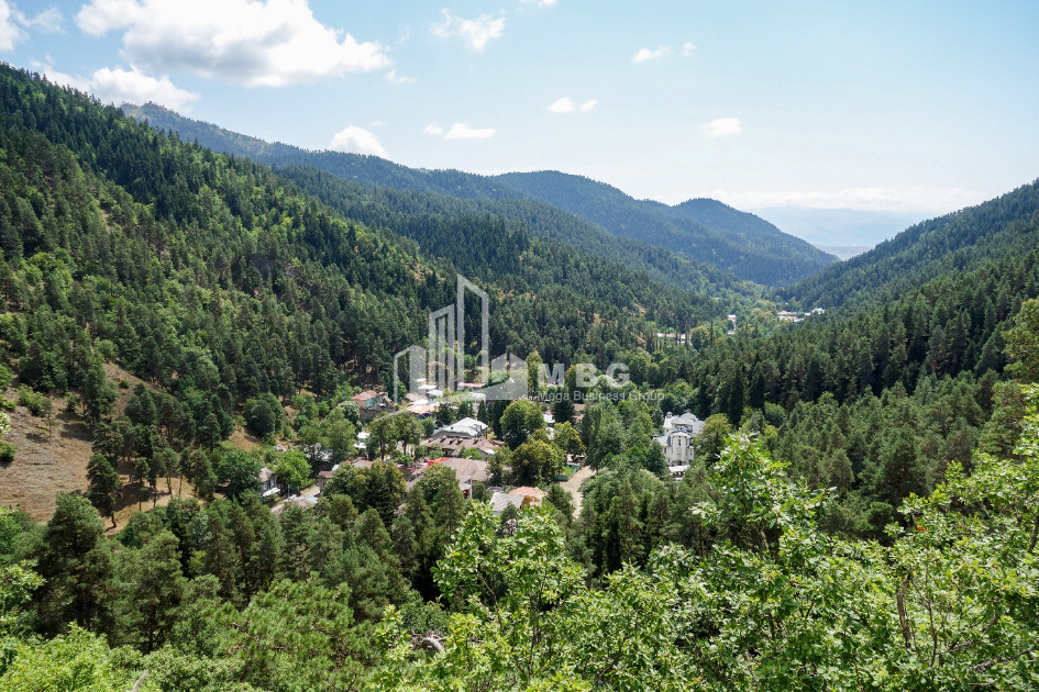 იყიდება მიწის ნაკვეთი აბასთუმანი ადიგენი სამცხე   ჯავახეთი