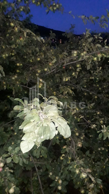 For Sale House Villa Didgori Street Upper Avchala Gldani District Tbilisi