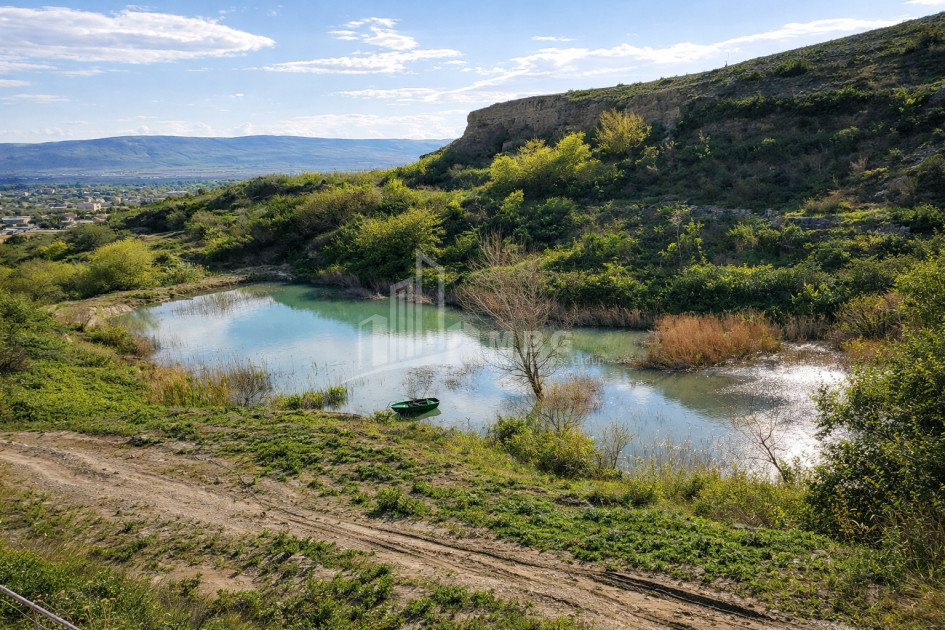 Продается Озеро - Рыболовное хозяйство Земля В Деревния Гачиани, Гардабани
