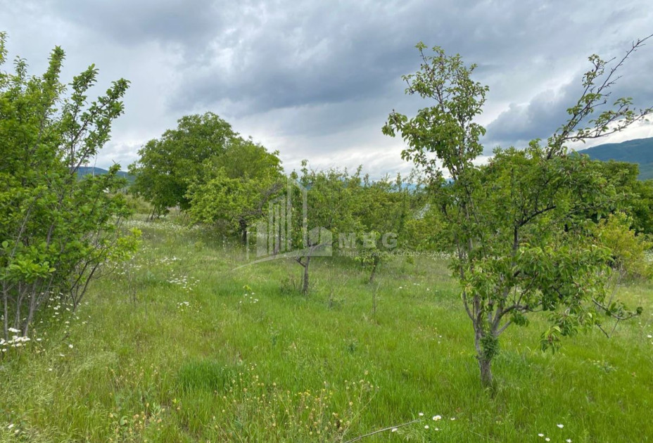 For Sale Country Land In Lamiskana, Kaspi