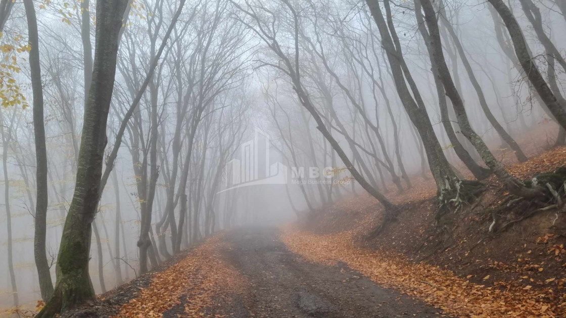 Продается Дом - Вилла В Коджори, Мтацминда Район